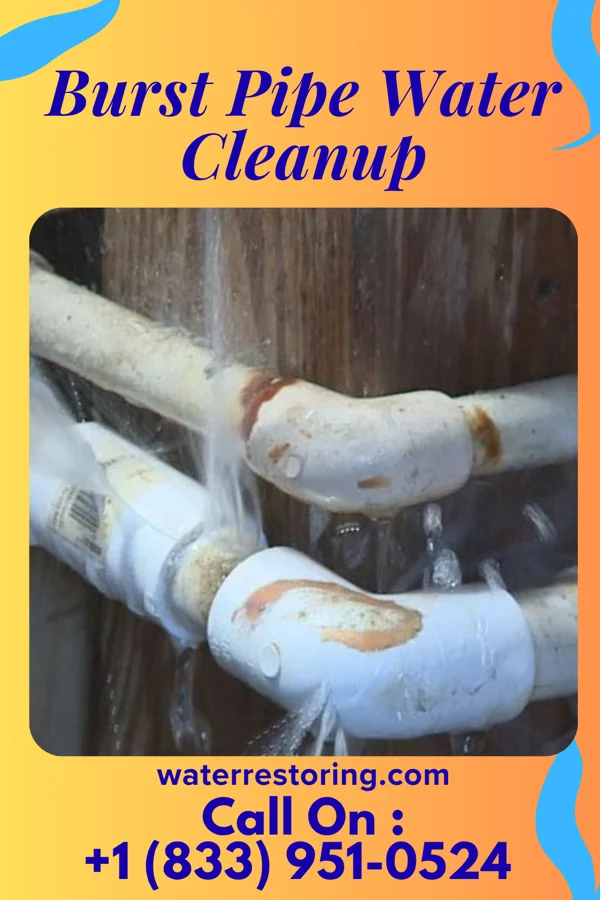 Burst Pipe Water Cleanup in Arlington, OH
