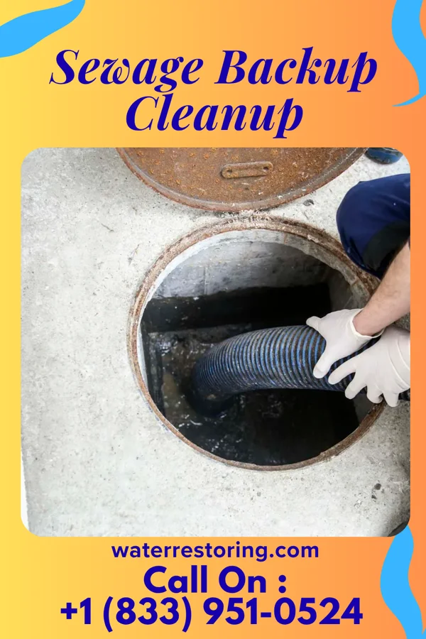 Sewage Backup Cleanup in Arlington, OH